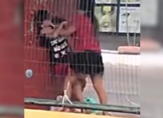 Mulher agride homem em parada de ônibus no bairro Crespo, em Manaus