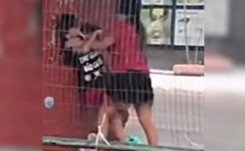 Mulher agride homem em parada de ônibus no bairro Crespo, em Manaus