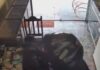 Vídeo mostra suspeito deixando loja de joias após ass4lt0 e fugindo em Manicoré Vídeo mostra suspeito deixando loja de joias após assalto e fugindo em Manicoré