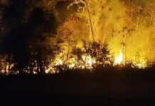 Incêndio de grandes proporções atinge lixão e deixa ar em condição péssima em Maués