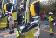 Motorista fica preso às ferragens após ônibus bater contra carreta na BR-174 no AM