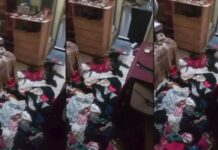 Homem é preso suspeito de m@t#r cachorro da ex e usar crime para ameaçá-la no AM