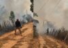 Focos de incêndio preocupam moradores de comunidades no Careiro da Várzea no AM