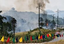 Fogo de grandes proporções toma conta de área de vegetação às margens da AM-070