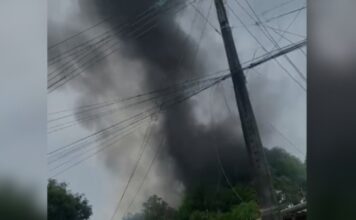 Incêndio é registrado próximo a área de mata no Tancredo Neves, em Manaus