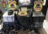 Sete pessoas são condenadas por tráfico internacional de 583 kg de cocaína no Pará