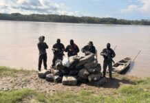 Mais de 750 quilos de skunk são encontrados escondidos em área de mata no AM