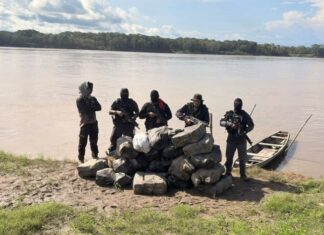 Mais de 750 quilos de skunk são encontrados escondidos em área de mata no AM