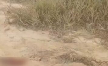 Homem é localizado com ferimentos de bala em comunidade na Zona Leste de Manaus