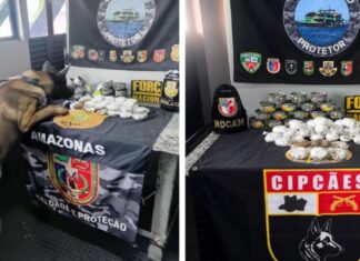 Cão policial encontra haxixe escondido em latas de atum dentro de barco no AM