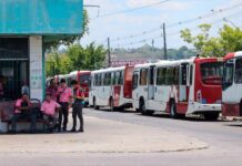 Ônibus voltam a circular após paralisação de rodoviários em Manaus
