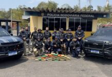 30 kg de ent0rpecentes são apreendidos em ônibus com destino a Porto Velho no Porto da Ceasa
