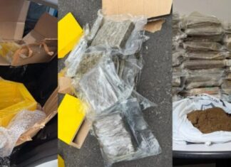 Operação do Denarc apreende 56 kg de skunk escondidos em MDF e armas em Manaus