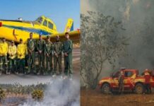 Governo Lula libera R$ 14 milhões e amplia estrutura para combater incêndios no Amazonas