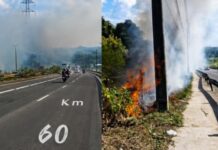 Incêndio em área de vegetação espalha fumaça e prejudica visibilidade na Avenida das Torres