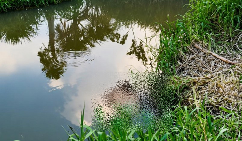 dgnegmegevne