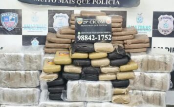 PM apreende 198 tabletes de skunk escondidos em caminhão no Armando Mendes
