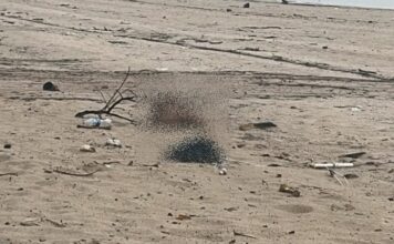 Corpo de homem com sinais de violência é localizado na faixa de areia da Ponta Negra