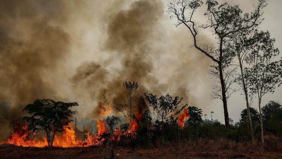 incendio-na-area-rural-area-de-autazes-amazonas-1791658967259_v2_900x506
