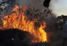 Após 1º turno, incêndios crescem 416% no Amazonas e polícia investiga motivação política