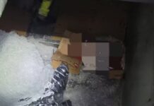 Trabalhador de 35 anos morre após cair dentro de máquina de triturar gelo