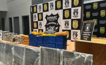 Denarc apreende 126 kg de skunk e haxixe avaliados em R$ 3 milhões em Manaus