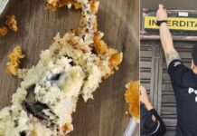 Dona de confeitaria é presa após cliente encontrar rato morto em bolo